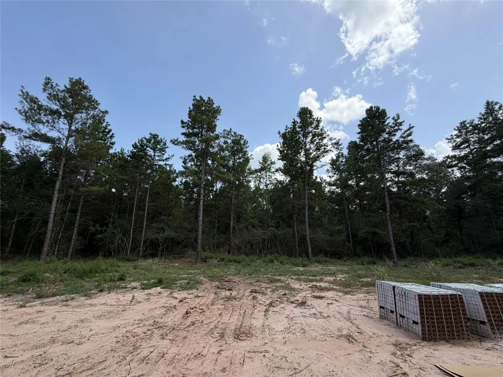 25077 Seguin Trail Montgomery, TX 77316