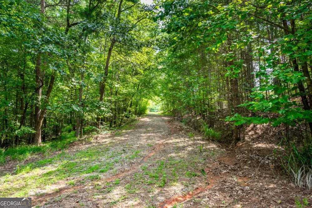 271 Big Sky LN Jasper, GA 30143