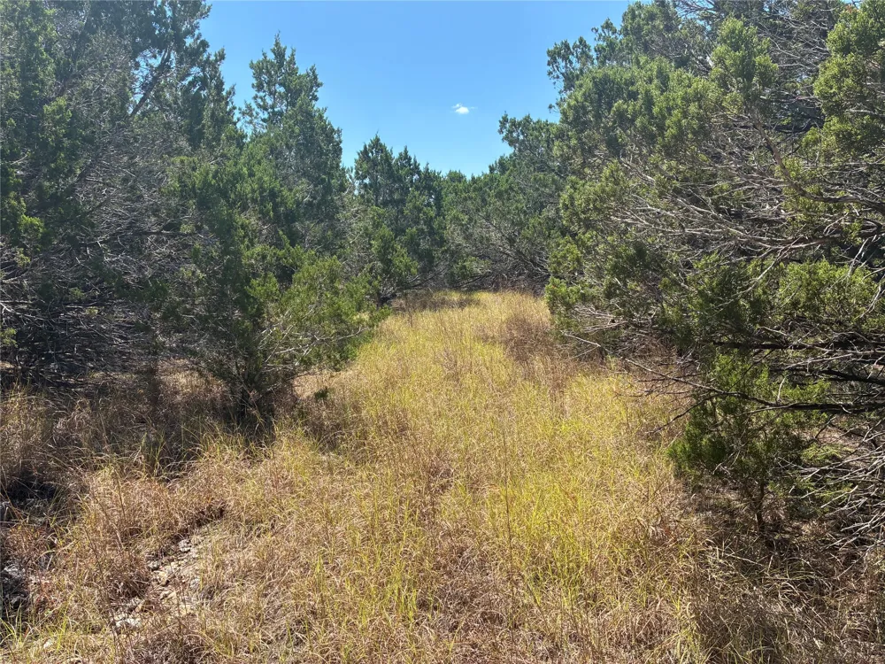 317 W Headwaters Ranch Road Kendalia, TX 78027