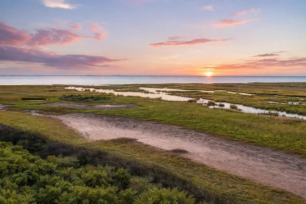 25719 Bay Breeze Drive Galveston, TX 77554