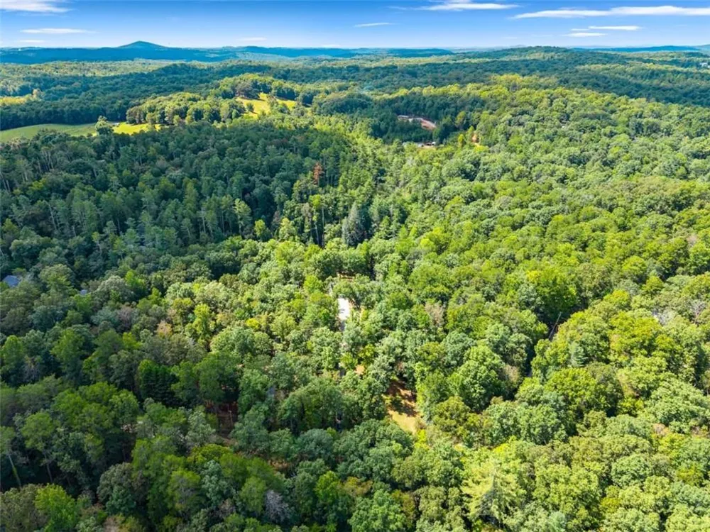 1366 Deer Woods Trail Cleveland, GA 30528