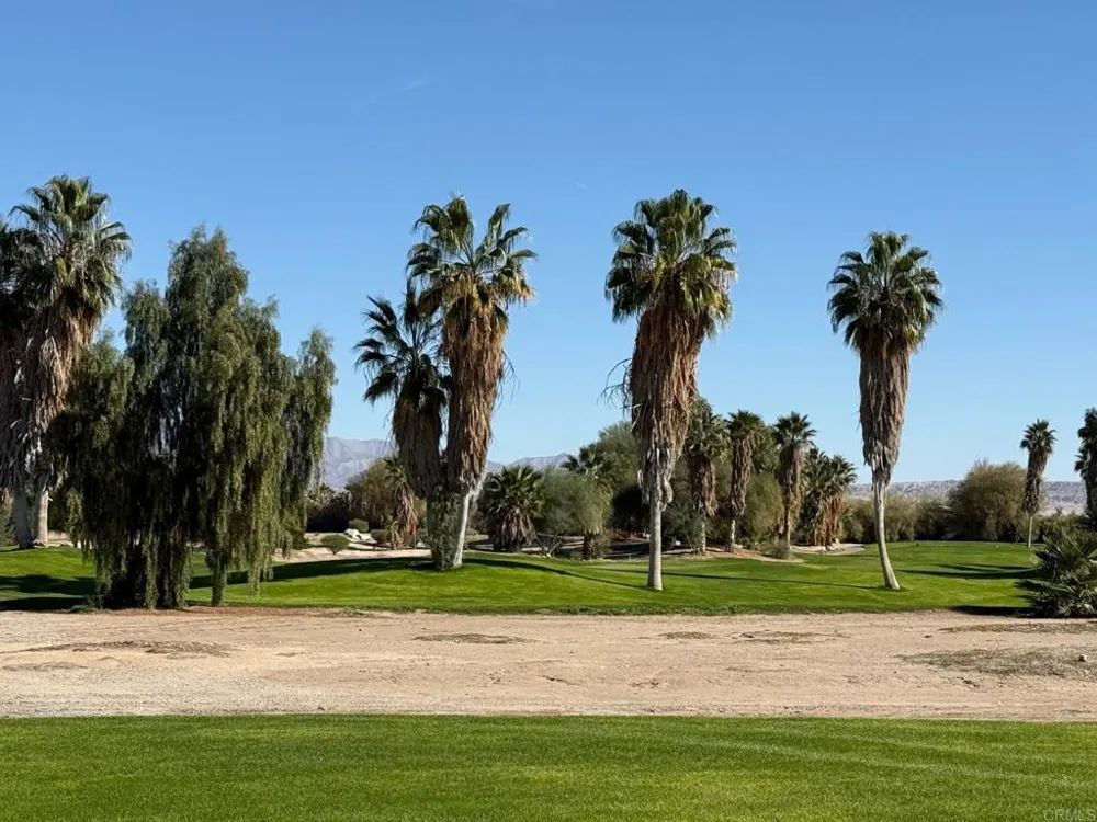1010 Palm Canyon Drive #10 Borrego Springs, CA 92004