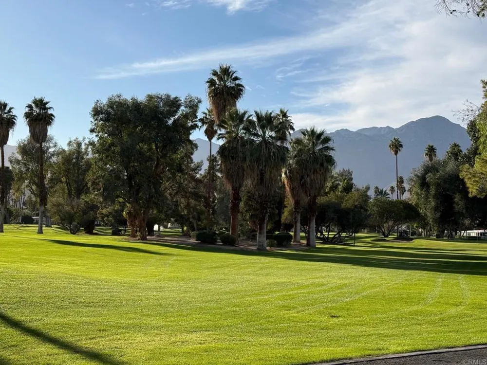 1010 Palm Canyon Drive #10 Borrego Springs, CA 92004