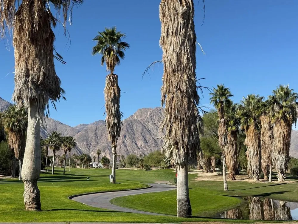 1010 Palm Canyon Drive #10 Borrego Springs, CA 92004