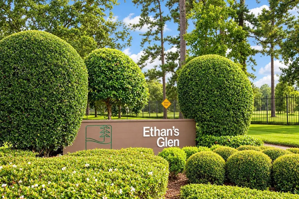 100 Litchfield Ln Houston, TX 77024