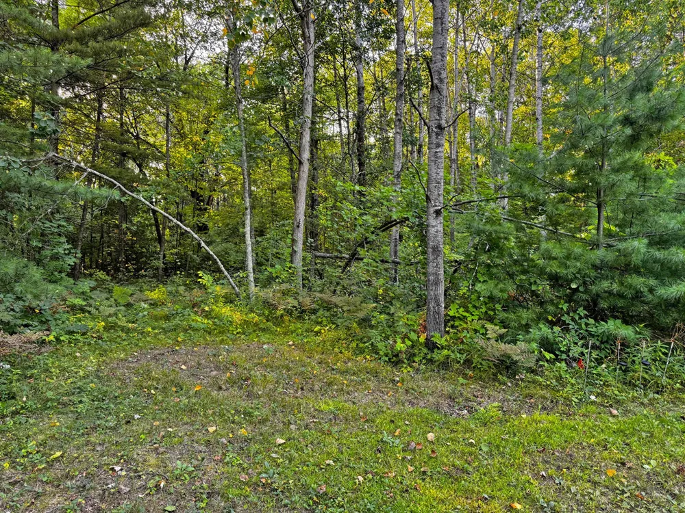 24771 Swede Road Webster, WI 54893