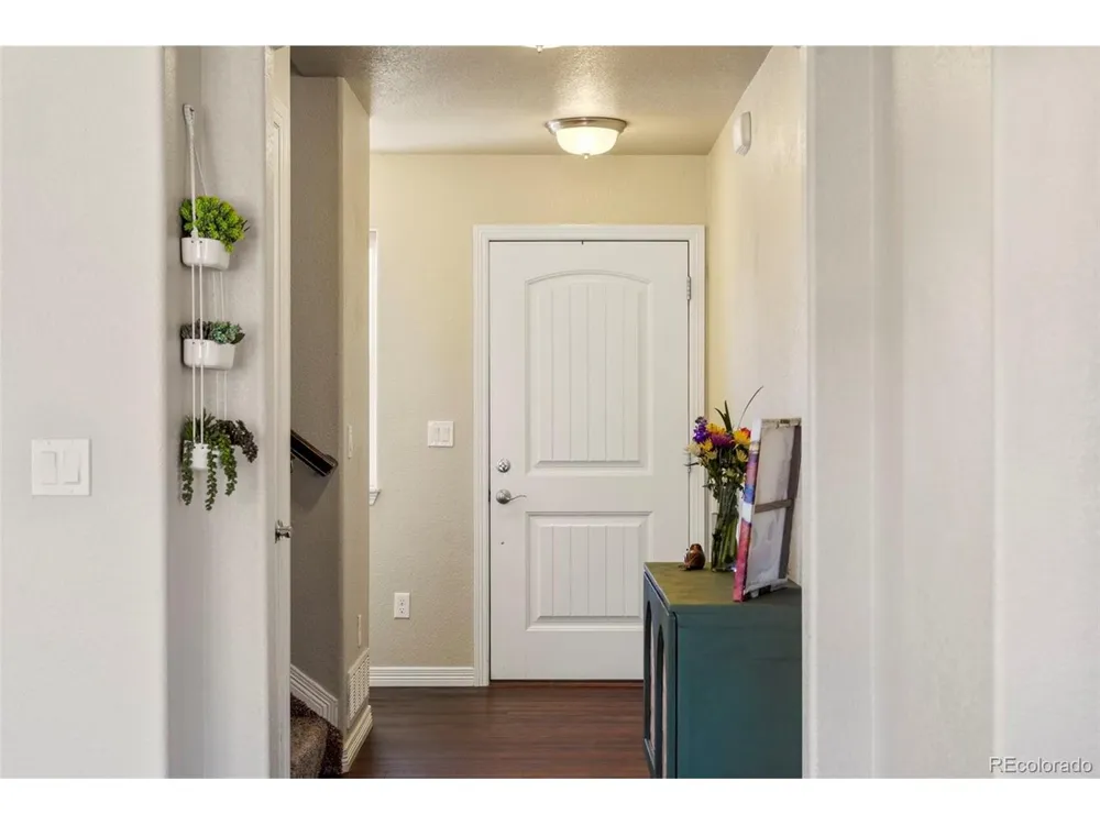 6265 Wild Turkey Drive Colorado Springs, CO 80925