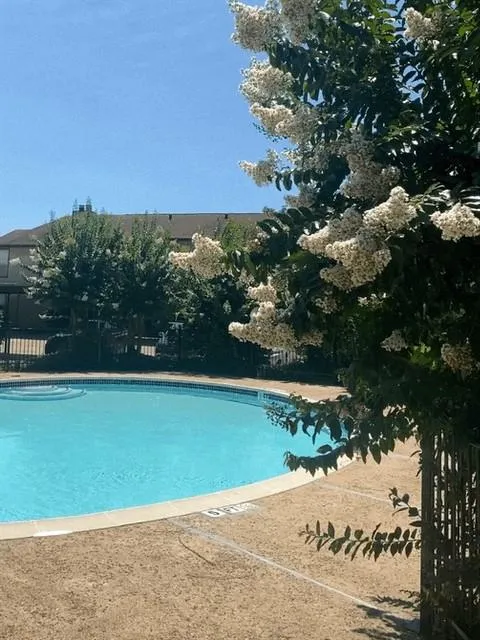 8323 Jorine Drive #8323 Houston, TX 77036