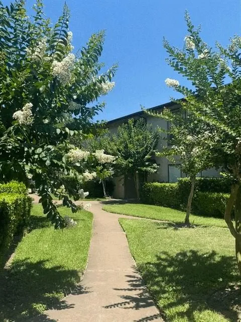 8323 Jorine Drive #8323 Houston, TX 77036