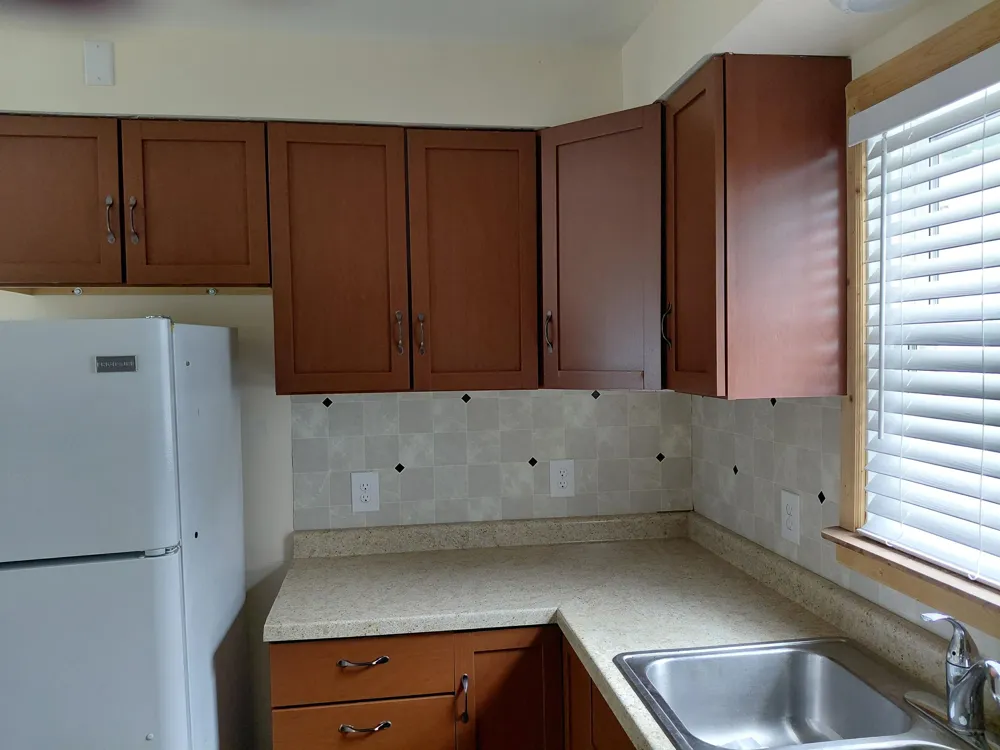 407 SW WOOD ST ROAD Chesaning Village, MI 48616