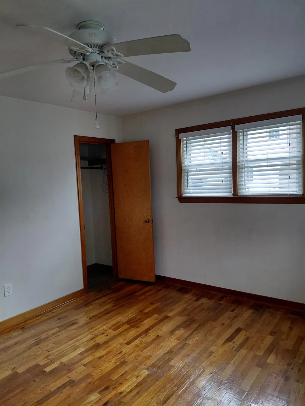 407 SW WOOD ST ROAD Chesaning Village, MI 48616