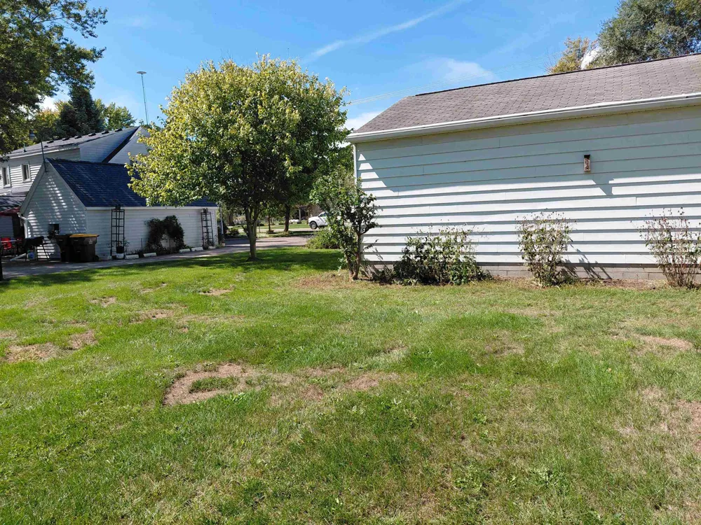 407 SW WOOD ST ROAD Chesaning Village, MI 48616