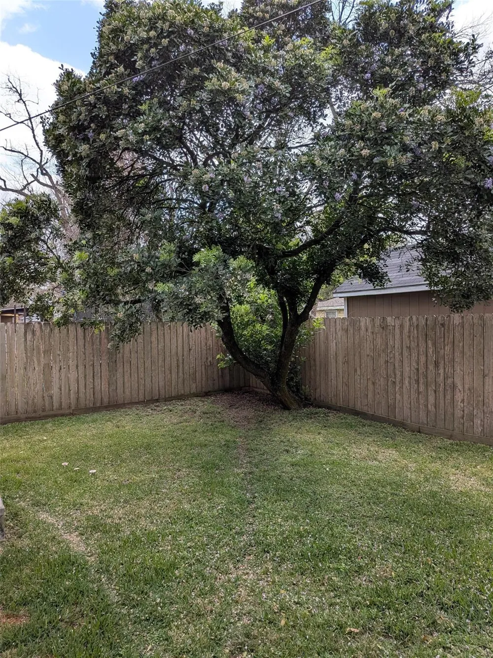 1500 Andrea Drive Bay City, TX 77414