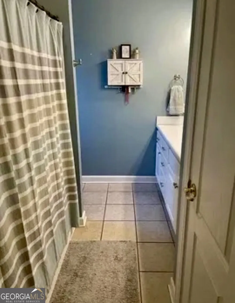 231 Sandspur Lane Vidalia, GA 30474