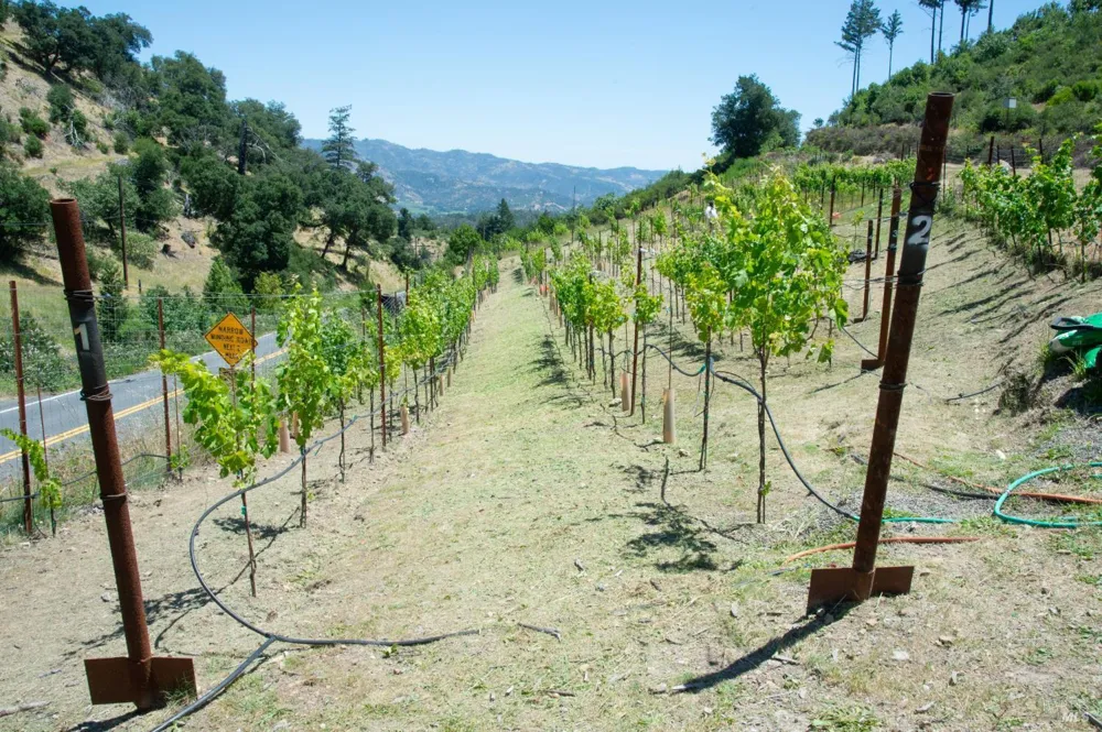 1 Franz Valley School Road Calistoga, CA 94515