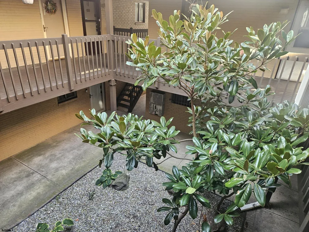 600 Pacific Atlantic City, NJ 08401