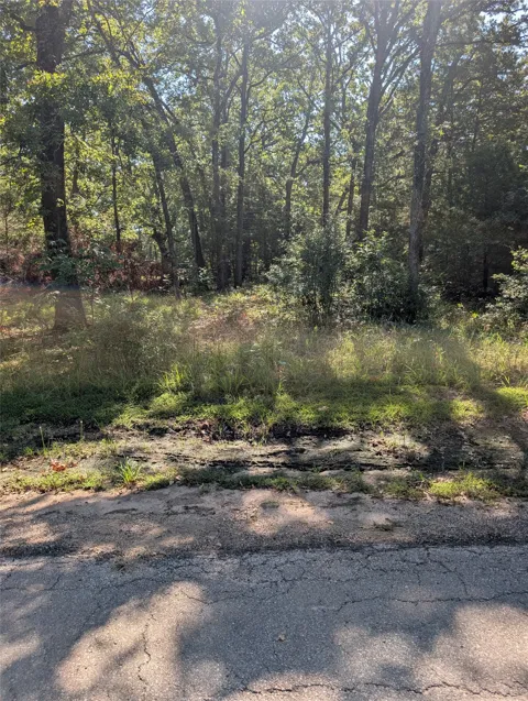202 Chillacothe Trail