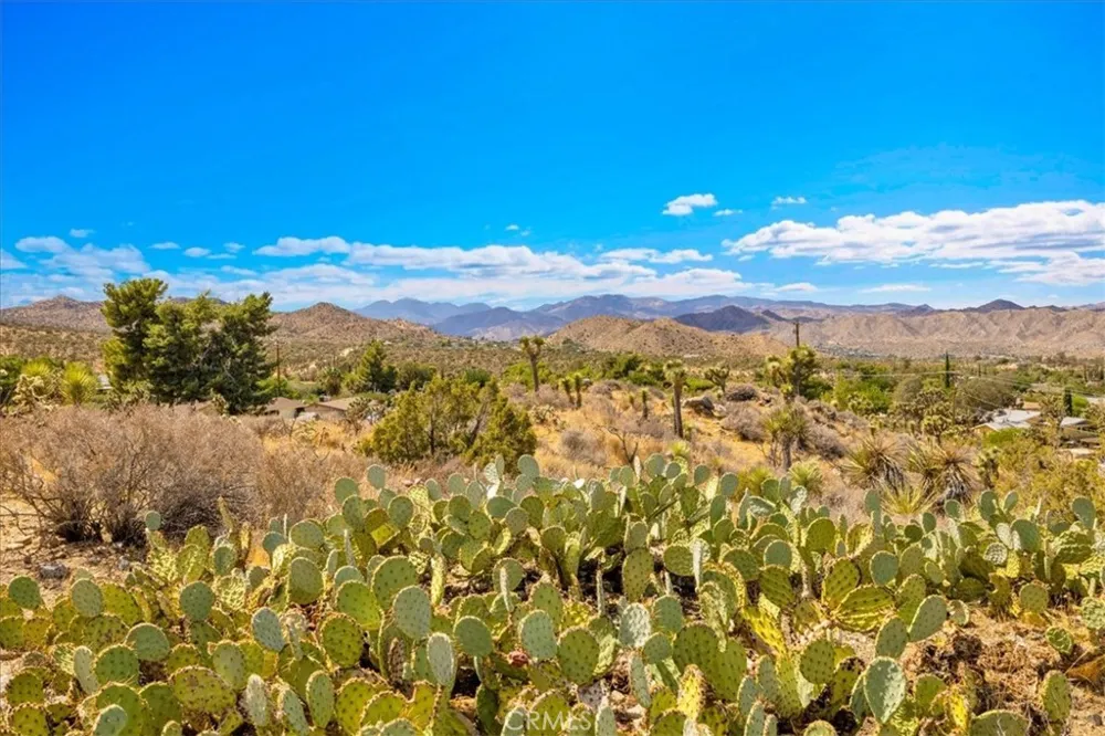 56583 Free Gold Drive Yucca Valley, CA 92284