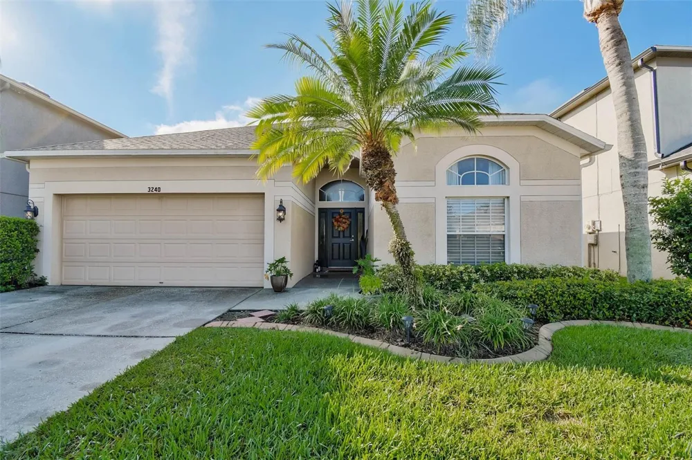 3240 DOWNAN POINT DRIVE Land O Lakes, FL 34638