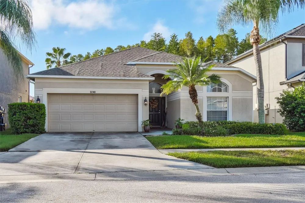 3240 DOWNAN POINT DRIVE Land O Lakes, FL 34638