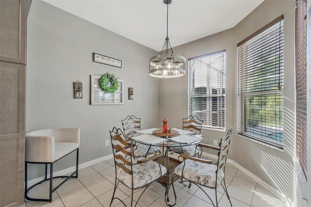 3240 DOWNAN POINT DRIVE Land O Lakes, FL 34638