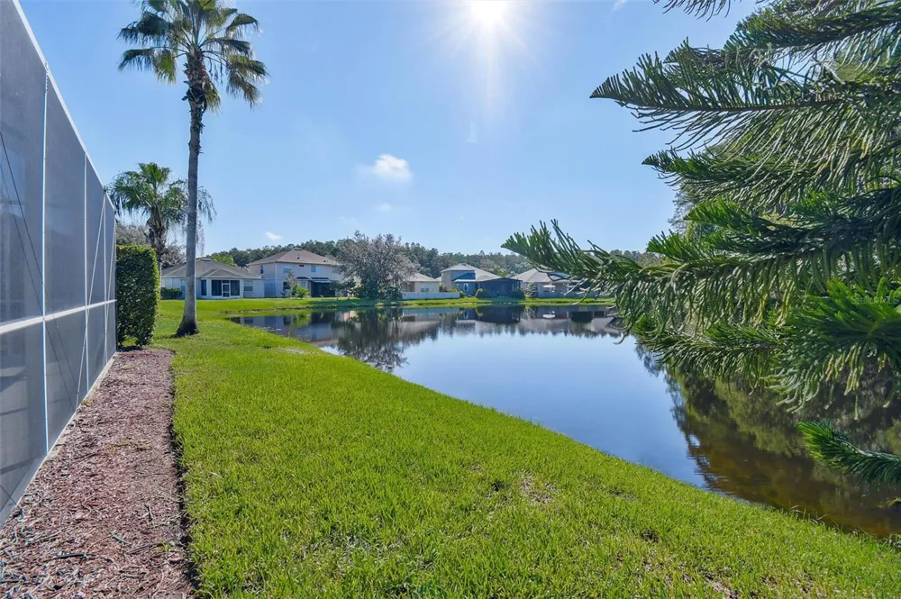 3240 DOWNAN POINT DRIVE Land O Lakes, FL 34638