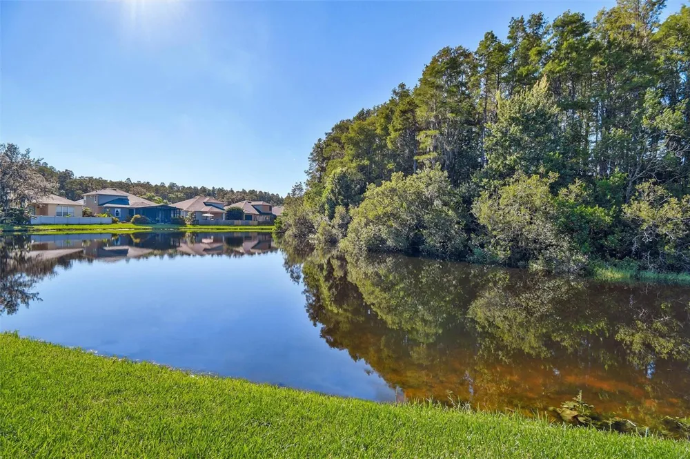 3240 DOWNAN POINT DRIVE Land O Lakes, FL 34638