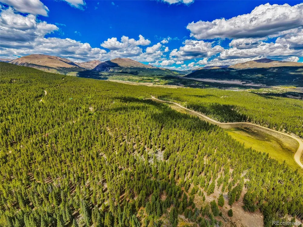 380 Georges Way Alma, CO 80420