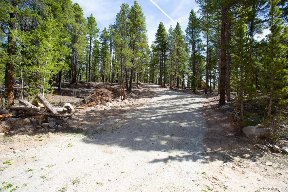 380 Georges Way Alma, CO 80420