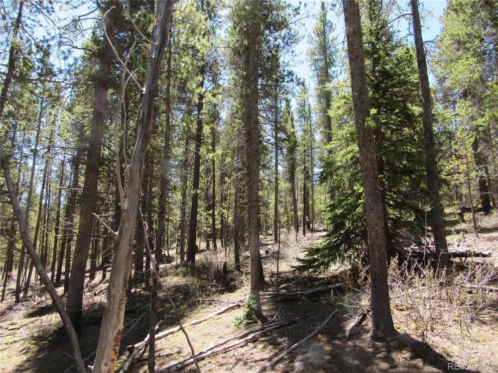 380 Georges Way Alma, CO 80420