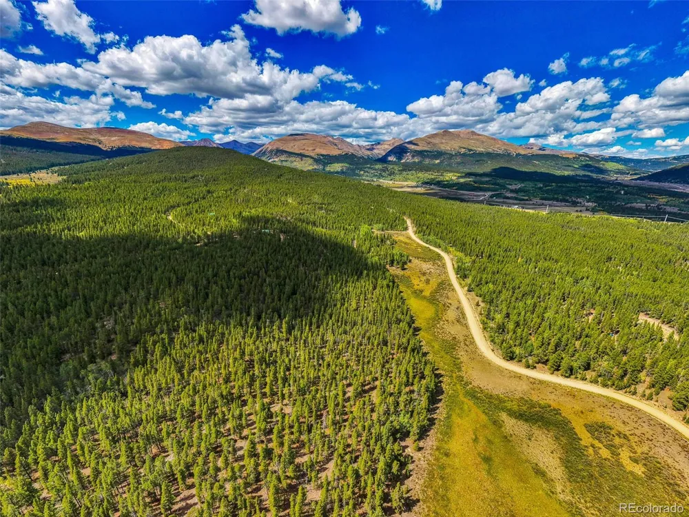 380 Georges Way Alma, CO 80420