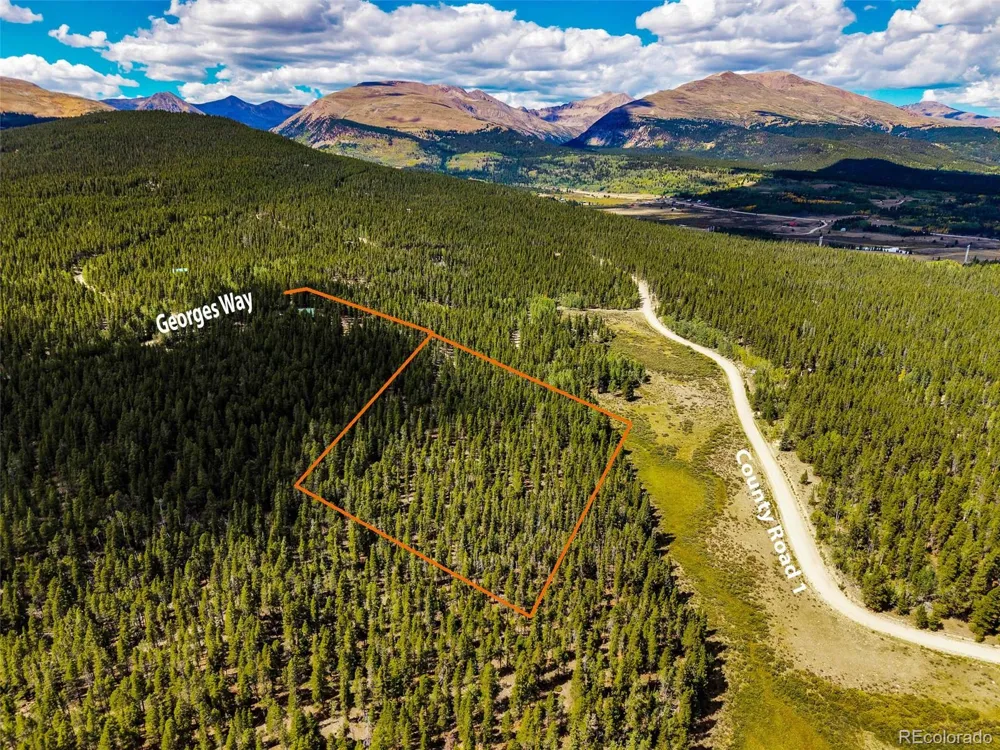 380 Georges Way Alma, CO 80420