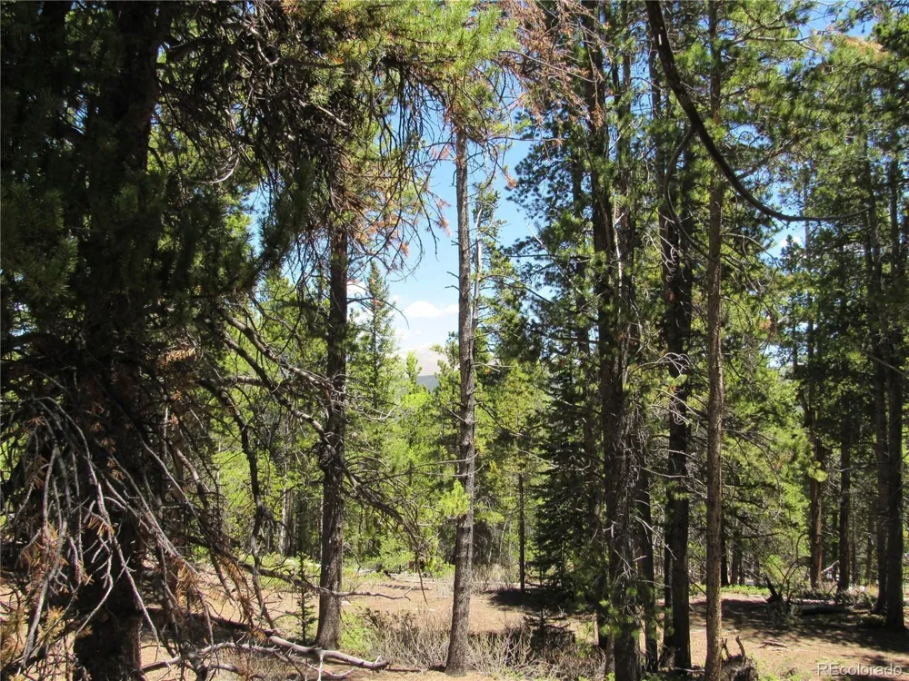 380 Georges Way Alma, CO 80420