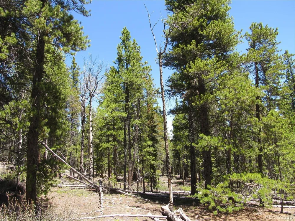380 Georges Way Alma, CO 80420