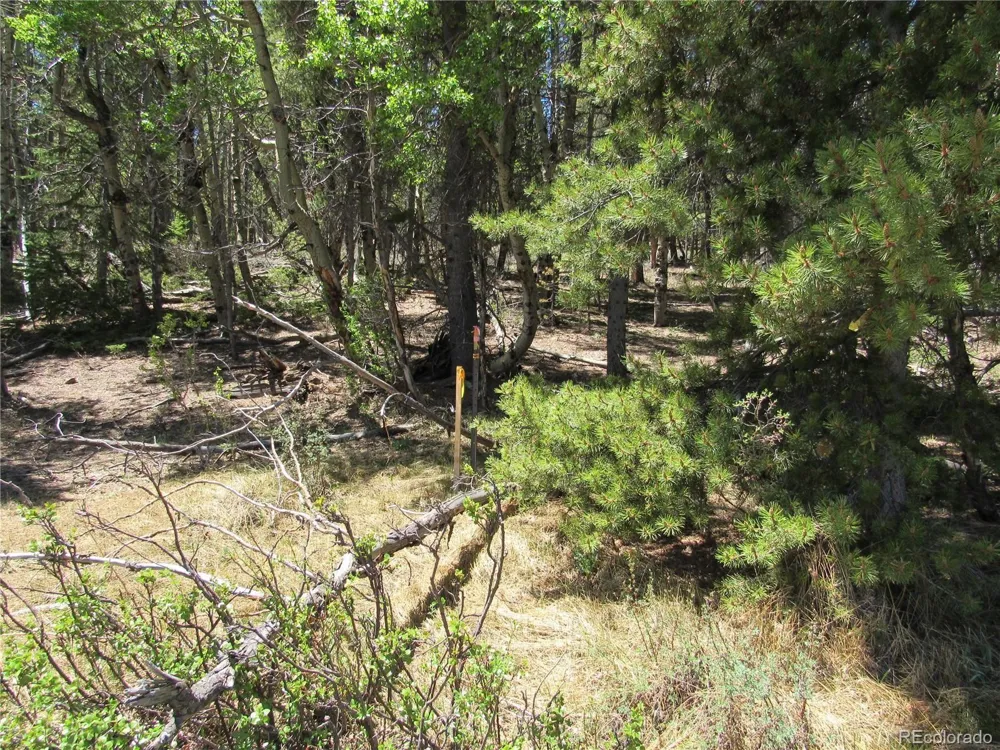 380 Georges Way Alma, CO 80420