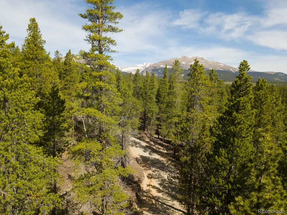 380 Georges Way Alma, CO 80420