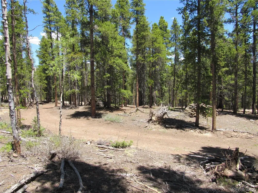 380 Georges Way Alma, CO 80420