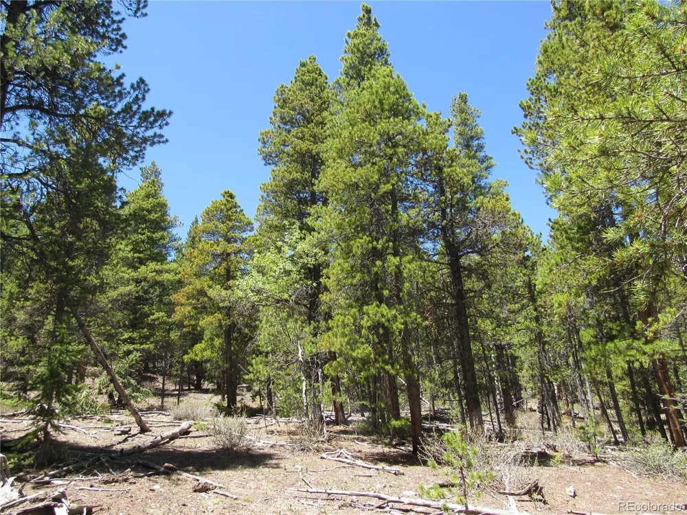 380 Georges Way Alma, CO 80420