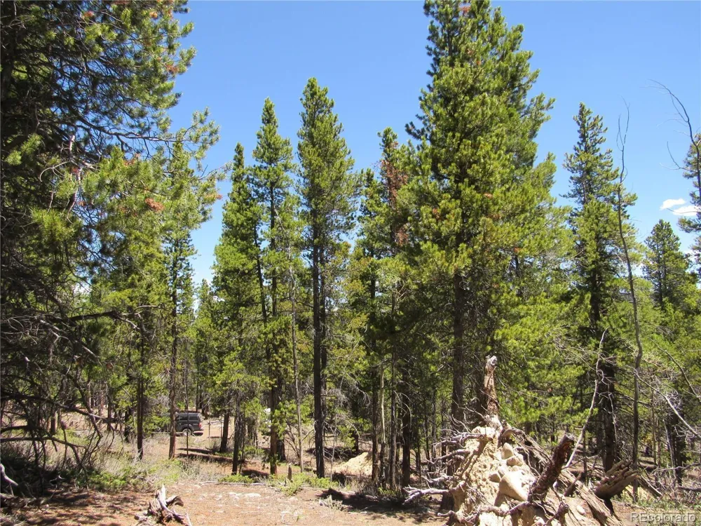 380 Georges Way Alma, CO 80420