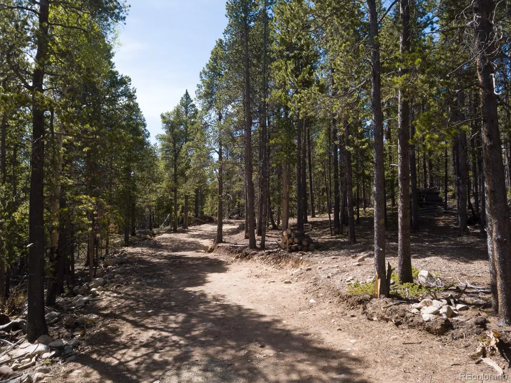 380 Georges Way Alma, CO 80420