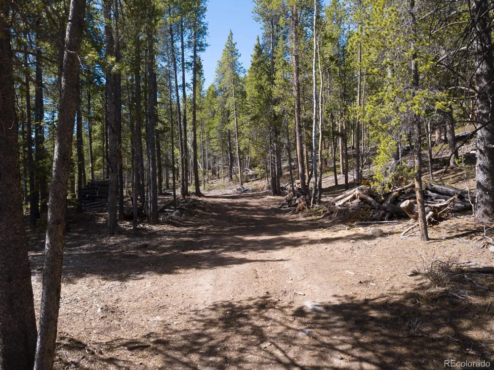 380 Georges Way Alma, CO 80420