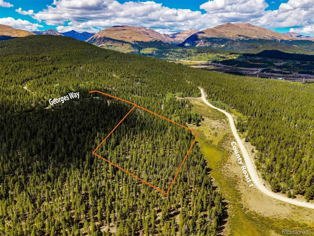 380 Georges Way Alma, CO 80420