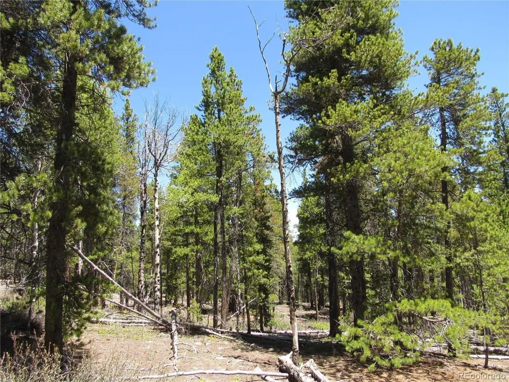380 Georges Way Alma, CO 80420