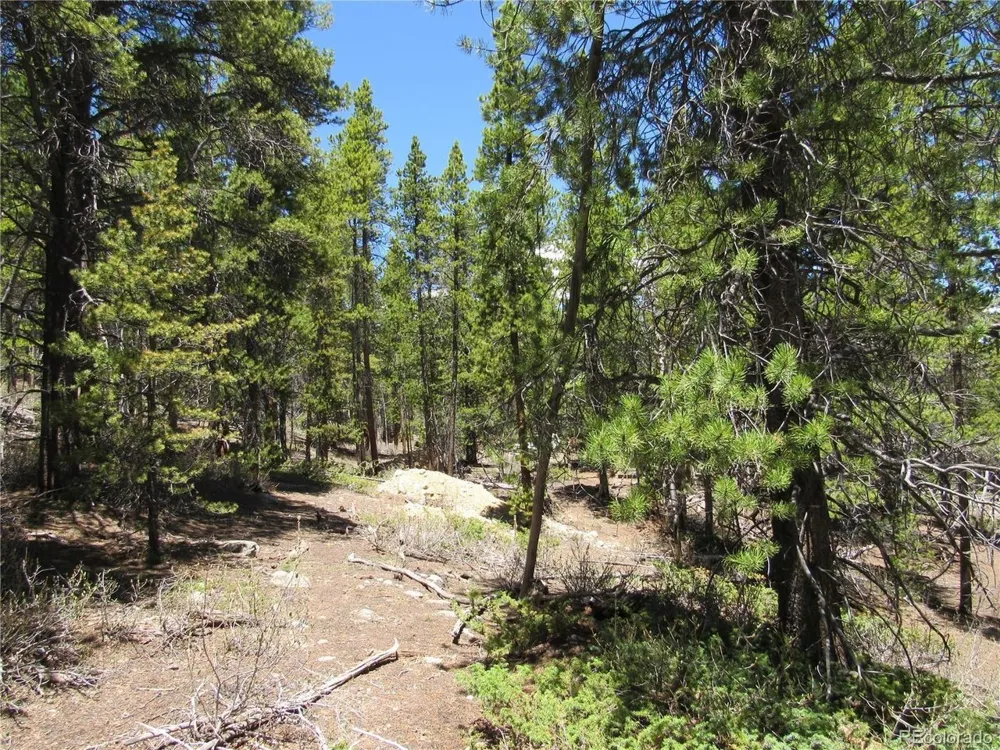 380 Georges Way Alma, CO 80420