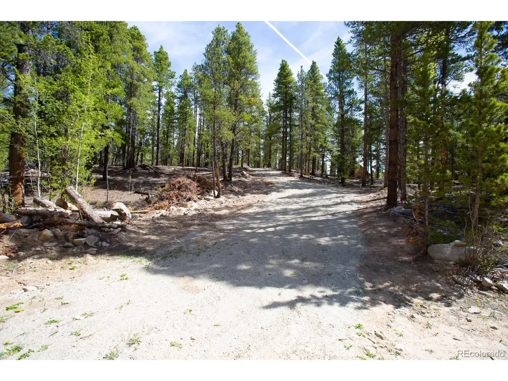 380 Georges Way Alma, CO 80420