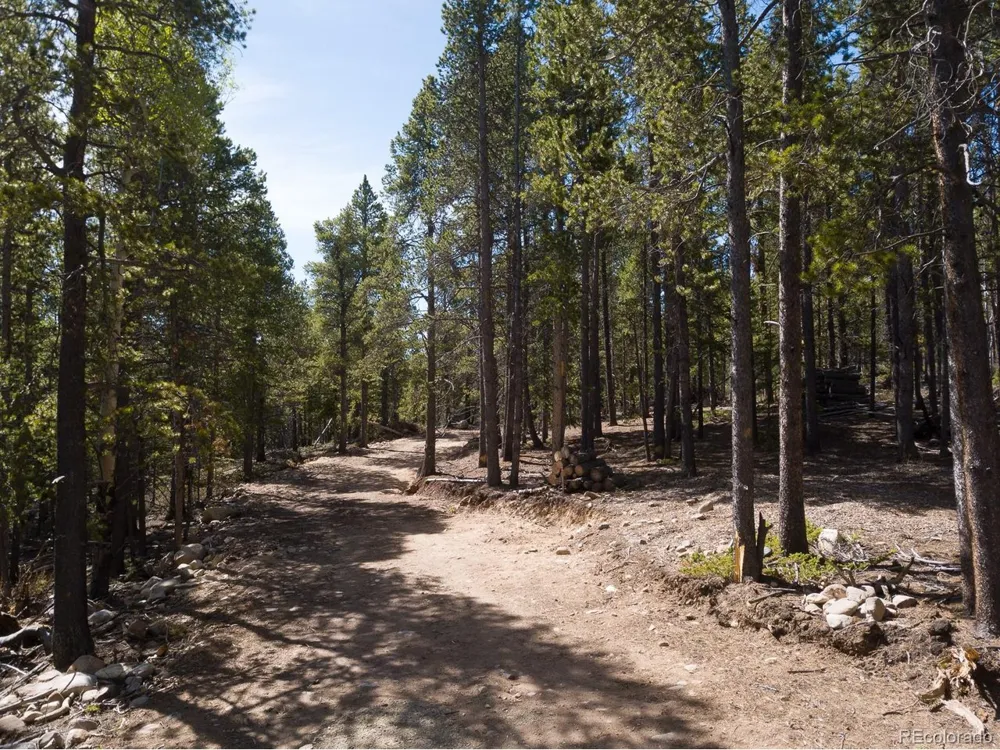 380 Georges Way Alma, CO 80420