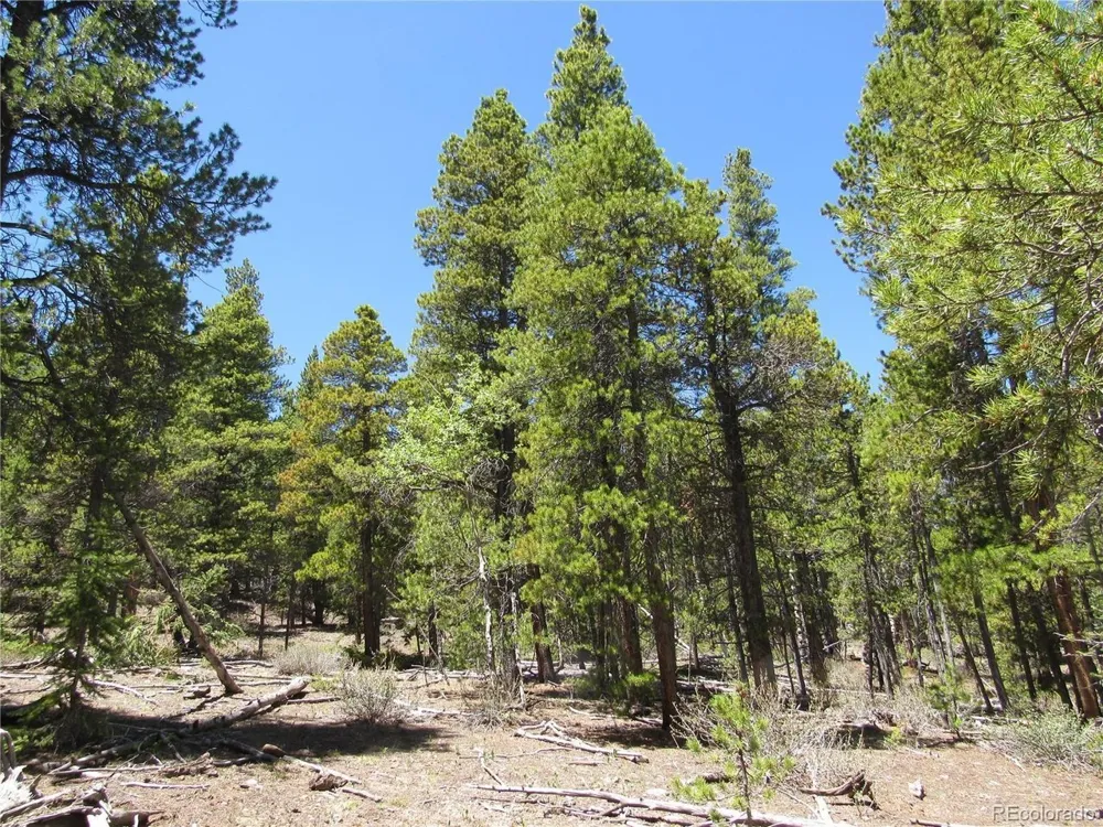 380 Georges Way Alma, CO 80420
