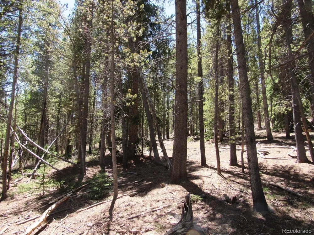 380 Georges Way Alma, CO 80420