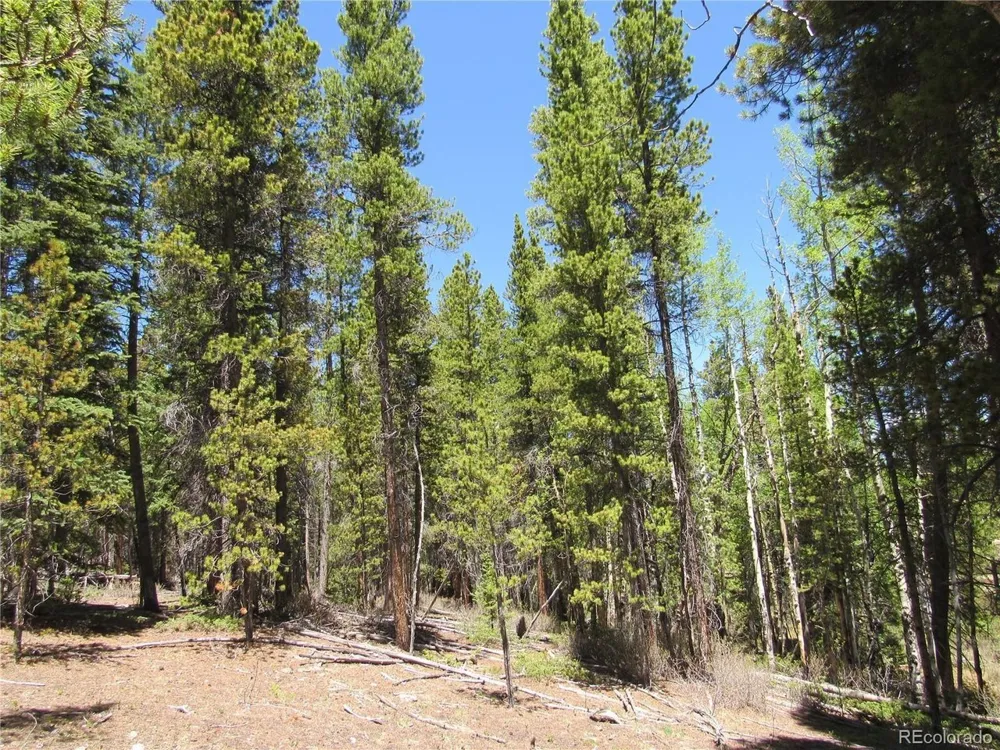 380 Georges Way Alma, CO 80420