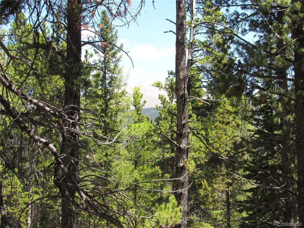 380 Georges Way Alma, CO 80420